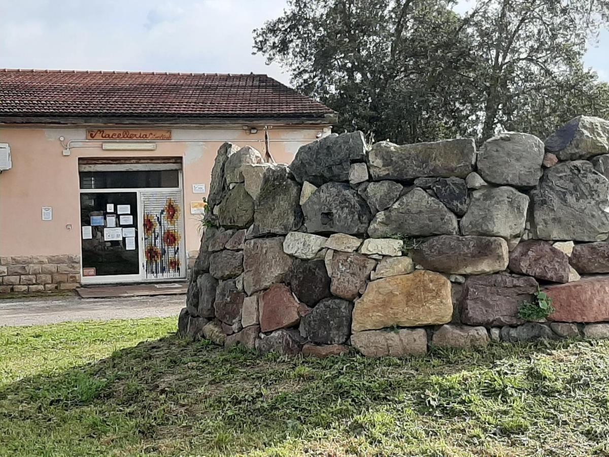 Agriturismo Agrifoglio San Giovanni Suèrgiu Dış mekan fotoğraf
