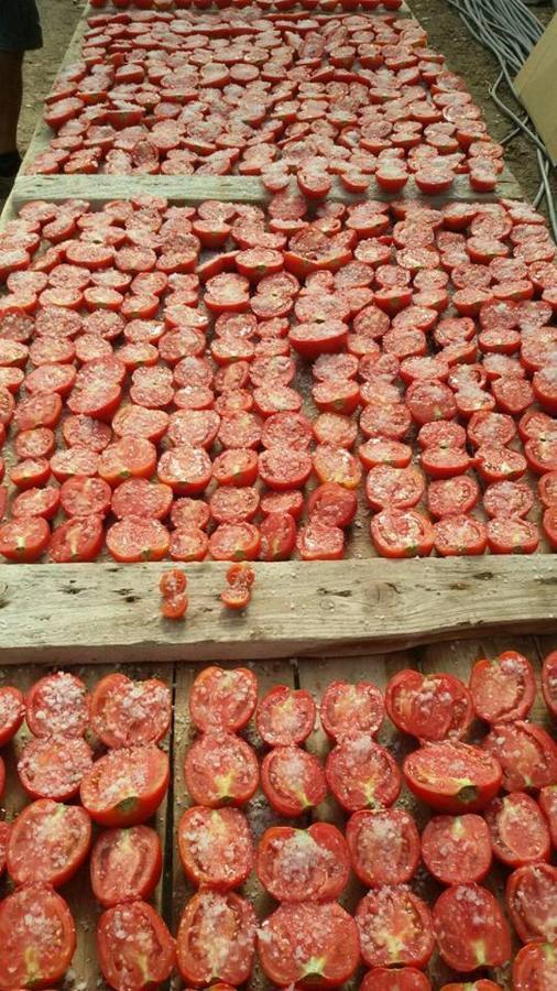 Agriturismo Agrifoglio San Giovanni Suèrgiu Dış mekan fotoğraf